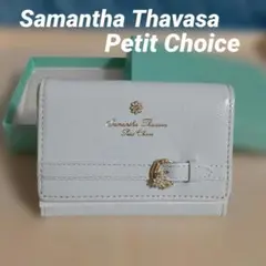 新品/未使用 　サマンサタバサプチチョイス マルチパスケース　ライトブルー