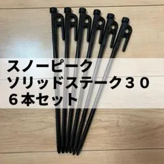 snow peak(スノーピーク) ソリッドステーク30 6本セットのサムネイル