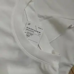 バックフリル 半袖 Tシャツ オフホワイトのサムネイル