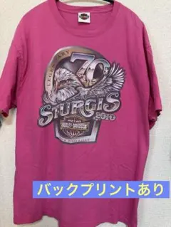 激レア70th記念 両面プリント ハーレーダビッドソン Tシャツ 2010 XL