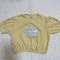 バースデイ　半袖Tシャツ