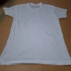 n*y様 GUNZEホワイト クルーネック メッシュTシャツLL