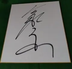 希少 檜山修之 直筆サイン入り デミトリ イラスト 画用紙 ポスタースリーブ付き 檜山修之さん サイン色紙 - メルカリ