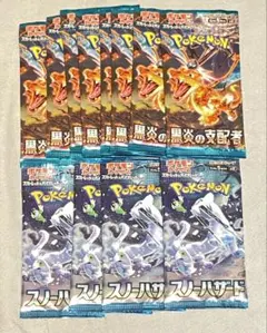 ポケモンカードゲーム 黒炎の支配者 スノーハザード 計12パック