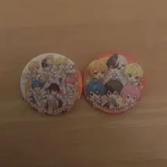 すとふぇす 缶バッジ シークレット 全員 セット 等身デフォ