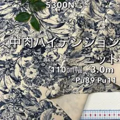 Item thumbnail for item a8dc2576-46d4-4351-98e9-40b6a0230e3a