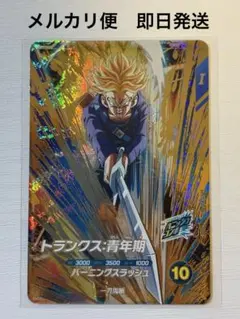 Sdv3-029 トランクス - メルカリ
