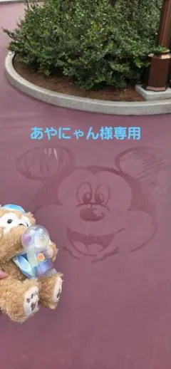 あやにゃん様専用です