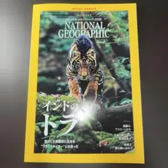 National Geographic 2025年10月号　インドのトラ