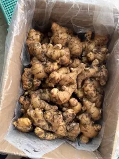 【A sushi様　専用です】