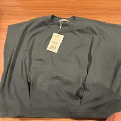 Item thumbnail for item 06068735-524e-47a2-a377-bba180ab81ff