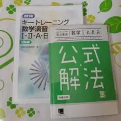 数学・実力養成/数学演習(受験編)数学Ⅰ・A・Ⅱ・B　受験対策