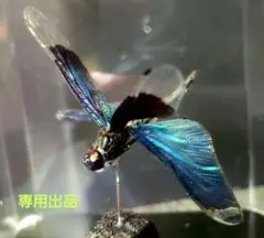 ケロ4様 リクエスト 3点 まとめ商品