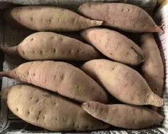 【農薬不使用】紅はるか　S〜Lサイズ　1.3〜1.4kg（箱込）