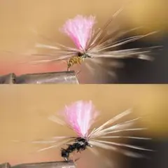 Item thumbnail for item bda2f262-59ab-4a2a-86f6-4c0eed861fb4