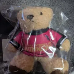 Item thumbnail for item 08bb01ad-a506-4561-8415-e84c5a879227