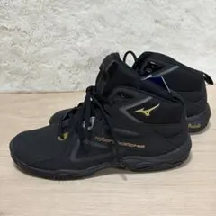 MIZUNO ウエーブダイバース LG4 23cm フィットネスシューズのサムネイル