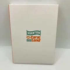 セブチ SEVENTEEN 韓国 ファンミ アクリルスタンド ミンギュ