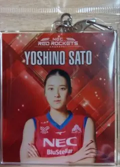 NECレッドロケッツ 佐藤淑乃選手 アクリルキーホルダー - メルカリ