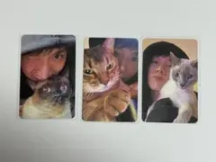 2025年最新】Wayv テン トレカ リオンの人気アイテム - メルカリ