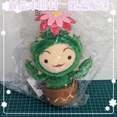 聖剣伝説 サボテンくん ぬいぐるみ 新品未開封 - メルカリ