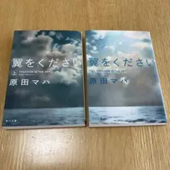 翼をください 上・下巻セット