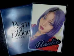 HANA 公式 NAOKO BorntoBloom ナオコ フォトカード