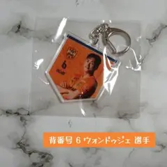 清水エスパルス タペストリー風キーホルダー ウォンドゥジェ 選手