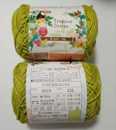 Item thumbnail for item 7bcb0fcd-8473-41ec-b53a-1cace4b1d6b3