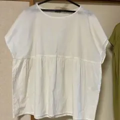 サマンサモスモス コットン 半袖 ブラウス フリーサイズ