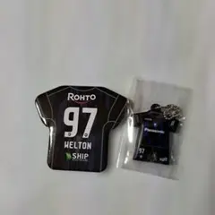 ガチャガチャ 缶バッジとストラップ