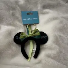 ディズニー ファンタジースプリングス キーチェーン アナ雪 新品未使用