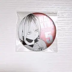 ハイキュー デコレクション 缶バッジ 研磨 ファンパーク