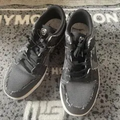 NIKE SB ZOOM DUNK LOW QS 