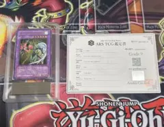 Item thumbnail for item b28e20ee-d4d7-4e00-a521-7578f7881c00