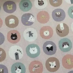 CBポプリン 猫 サークル 水玉 ピンク 50㎝ 生地