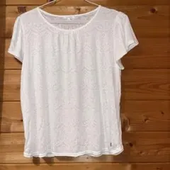 ハッシュパピーのTシャツのサムネイル