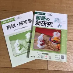 国語の新研究と解説・解答集セット