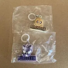 SEVENTEEN miniteen ミンギュ　ウォヌ