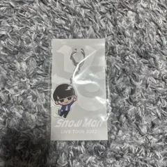 SnowMan 渡辺翔太 すのチル アクリルキーホルダー