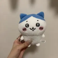 ちいかわ ハチワレ 古本屋 ぬいぐるみ - メルカリ
