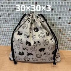 お着替え袋　体操服袋　上履き入　ハンドメイド　巾着袋　女の子　男の子　猫