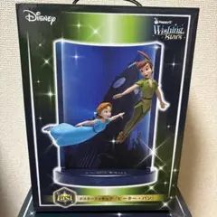 ディズニー Wishing Stars フィギュア 2点セット