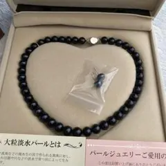 大粒 淡水真珠 ブラックパール ネックレス＆ピアス 2点セット ケース・説明書のサムネイル