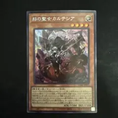 2026年最新】赫の聖女カルテシアの人気アイテム - メルカリ