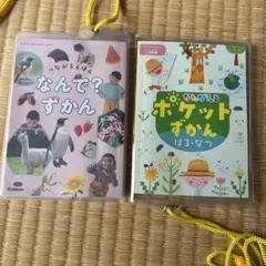 ポケット図鑑♡2冊セット　なんで？ずかん　ポケットずかん