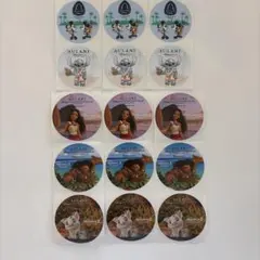 【限定】Diseny アウラニ AULANI シール