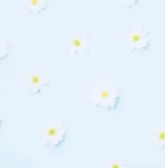 プロセカ 東雲絵名 缶バッジ 48c 化けの花 3点