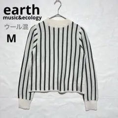 アースミュージックアンドエコロジー ストライプニット モックネック M ウール混