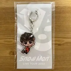 すのチル アクリルキーホルダー 向井康二